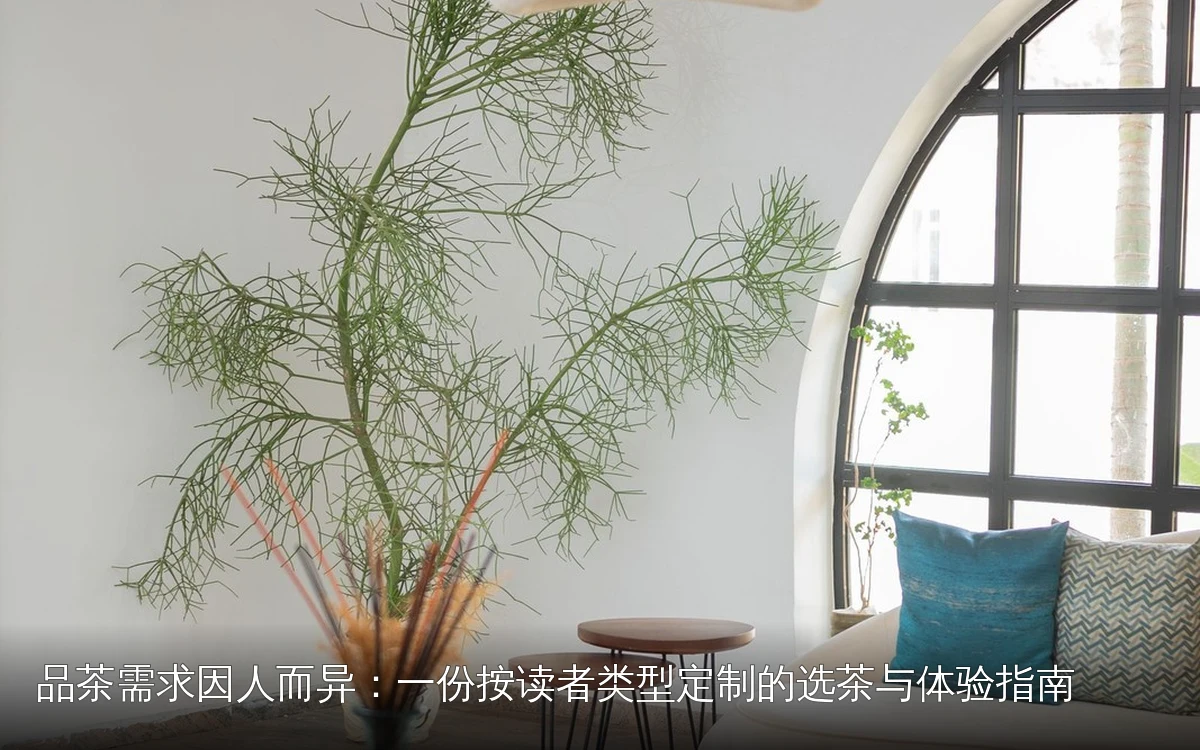 品茶需求因人而异：一份按读者类型定制的选茶与体验指南